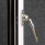 Chelton Handles