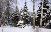 Thermal Insulation